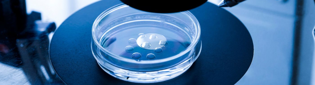 Separation and the future of your frozen embryos
